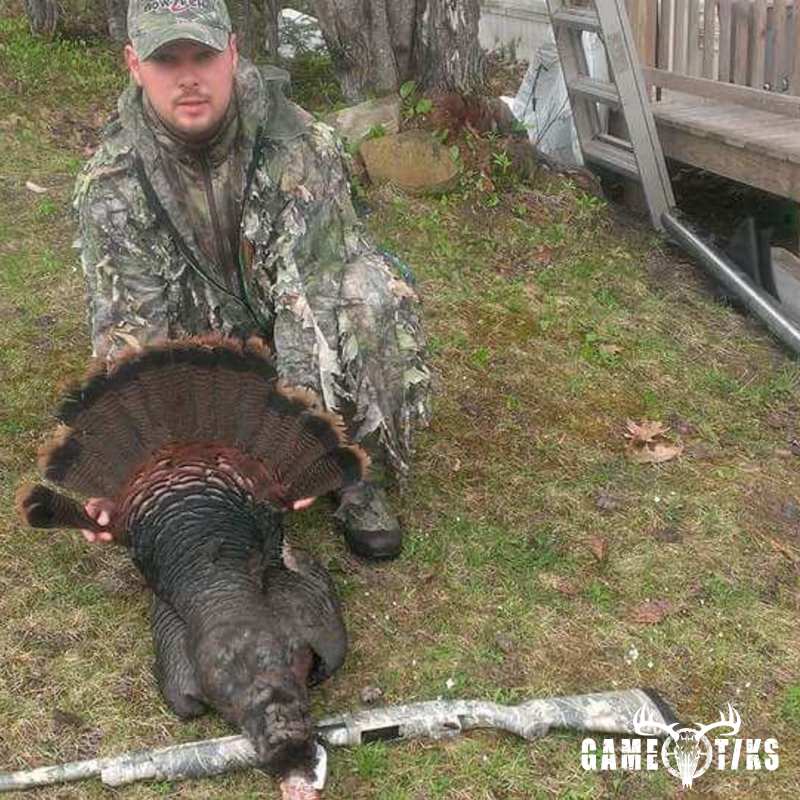 turkey harvest by Dan Love