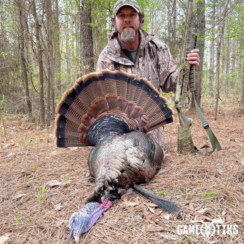 turkey harvest by Matt Queen