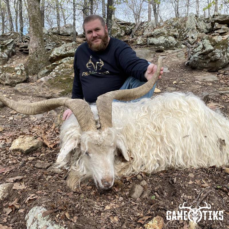 bovid harvest by Black Mountain Hunts LLC