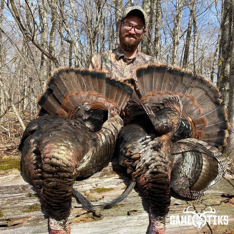 turkey harvest by Zach Harriman