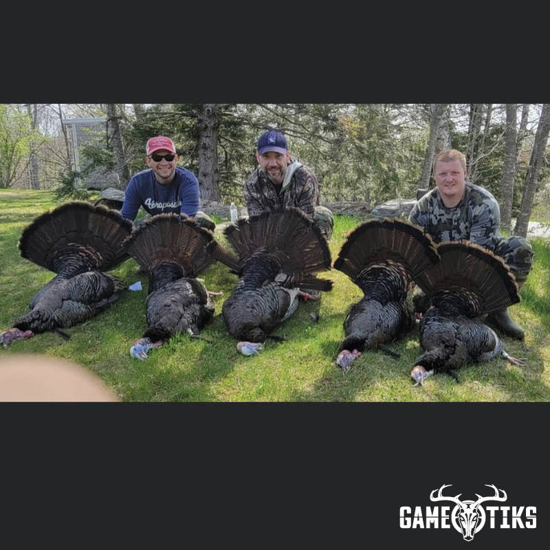 turkey harvest by Marsh River Outfitters