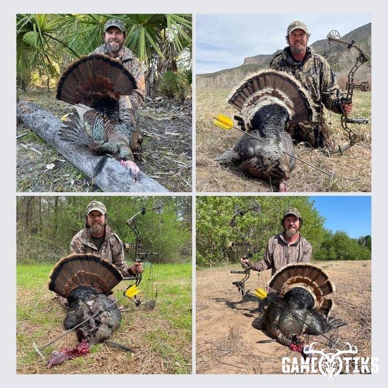 turkey harvest by Matt Queen