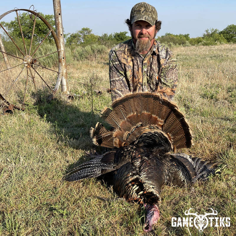 turkey harvest by Matt Queen