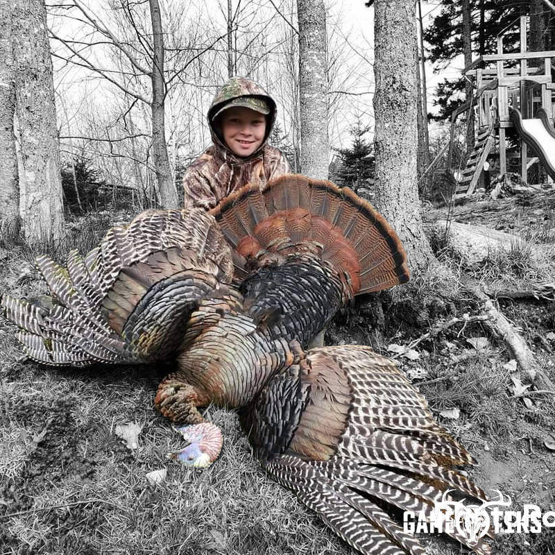 turkey harvest by Alex larrabee
