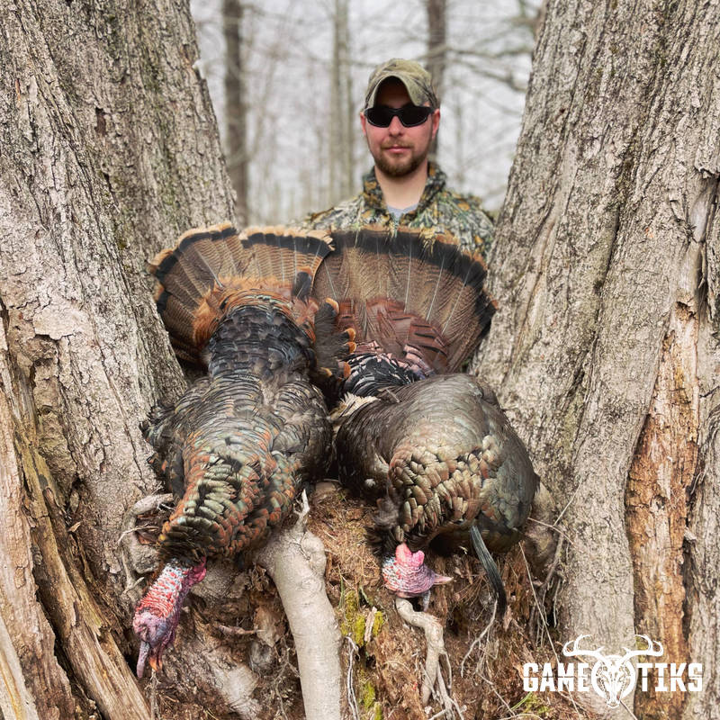 turkey harvest by Maine Experience Guide Service