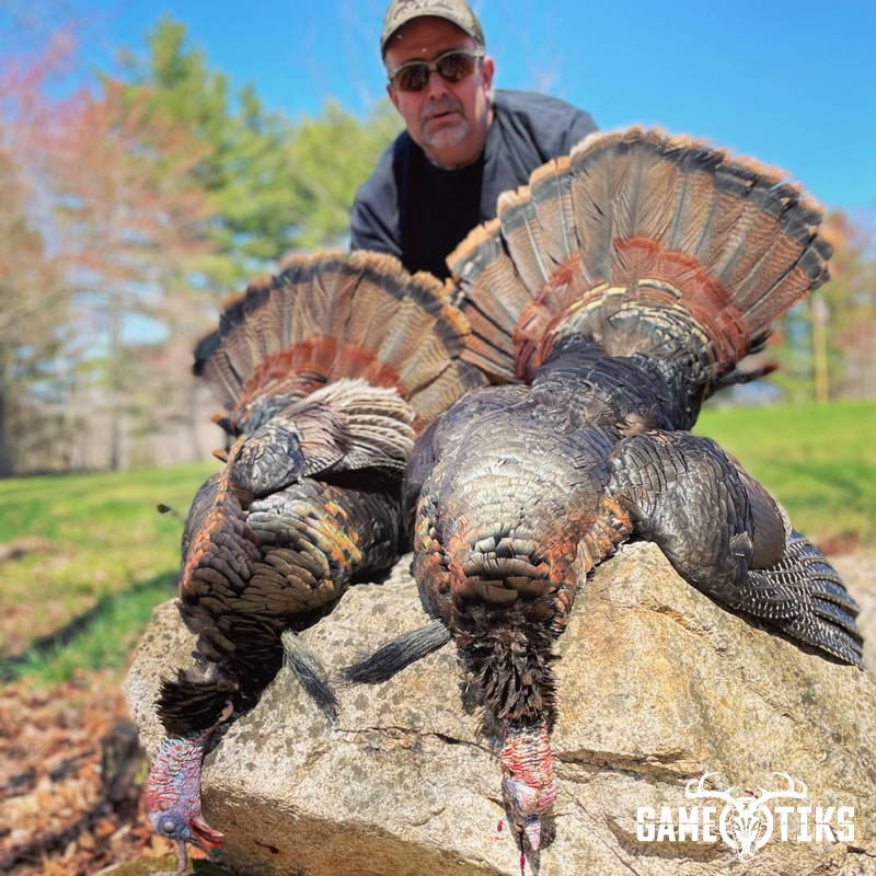 turkey harvest by Maine Experience Guide Service