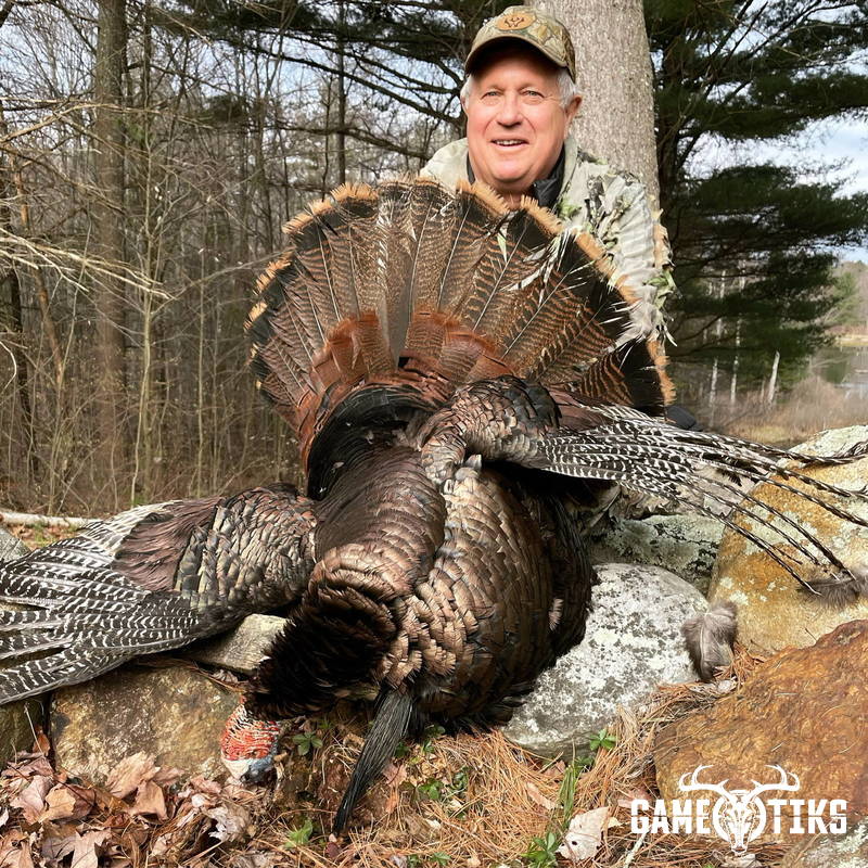 turkey harvest by Maine Experience Guide Service