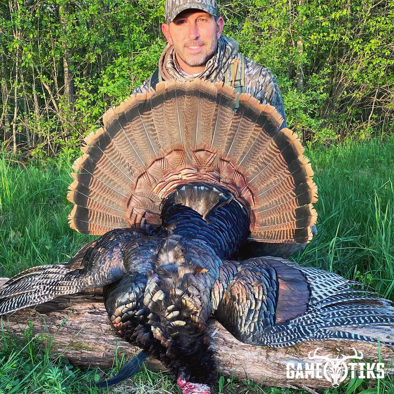 turkey harvest by Maine Experience Guide Service
