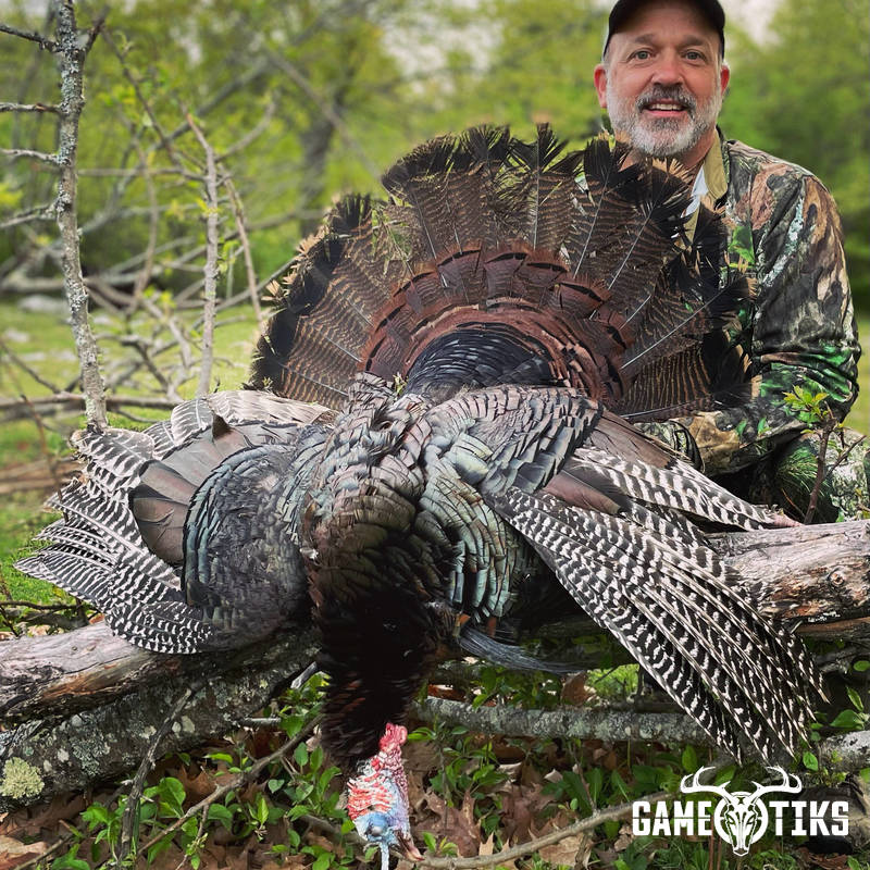 turkey harvest by Maine Experience Guide Service