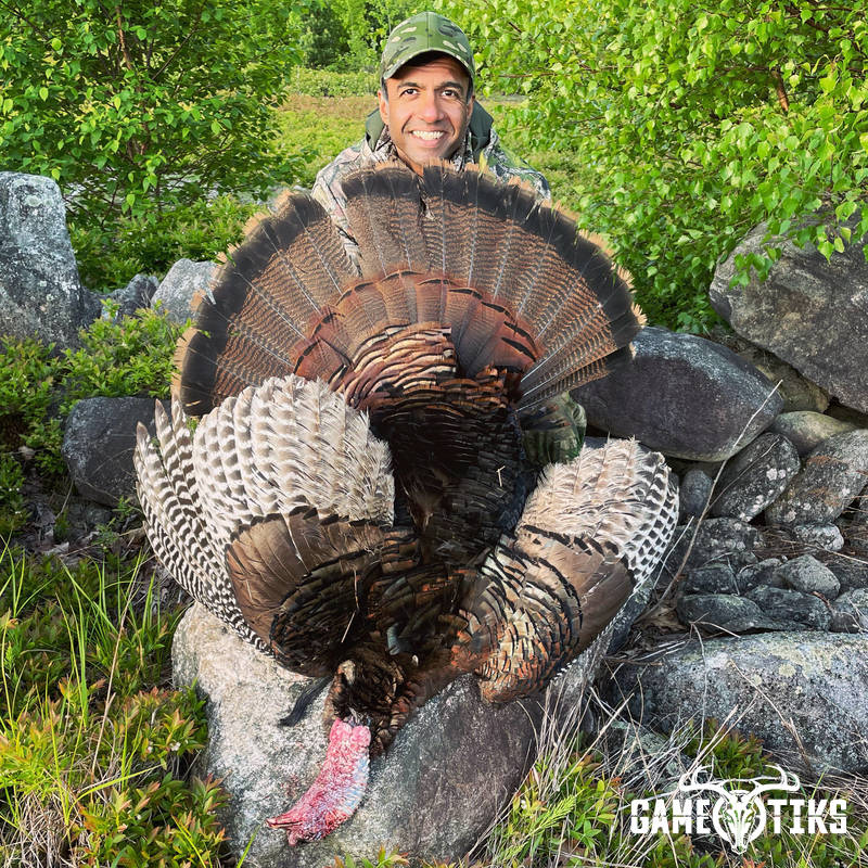 turkey harvest by Maine Experience Guide Service