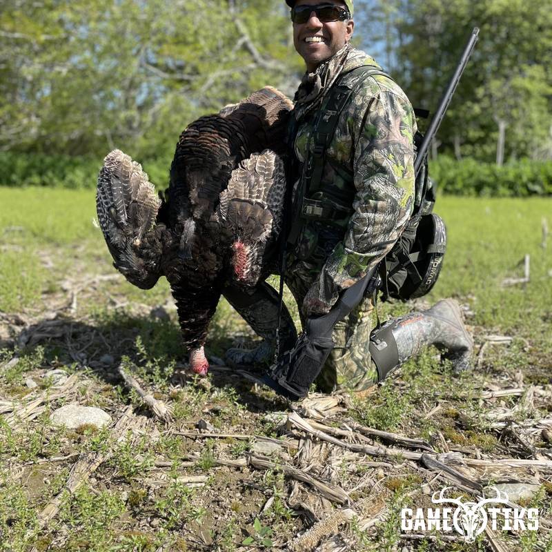turkey harvest by Maine Experience Guide Service