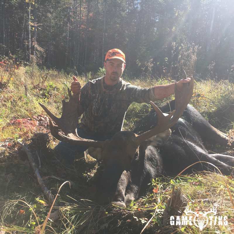 moose harvest by Dan purington