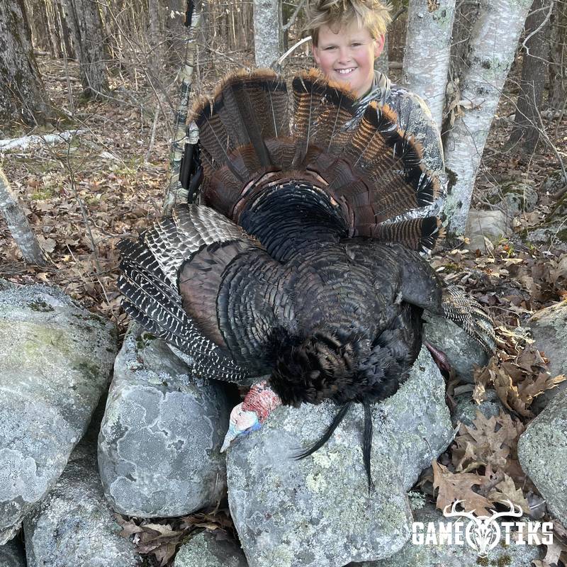 turkey harvest by Maine Experience Guide Service