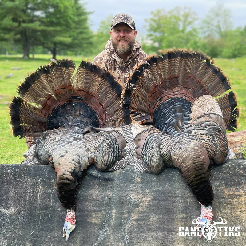 turkey harvest by Maine Experience Guide Service