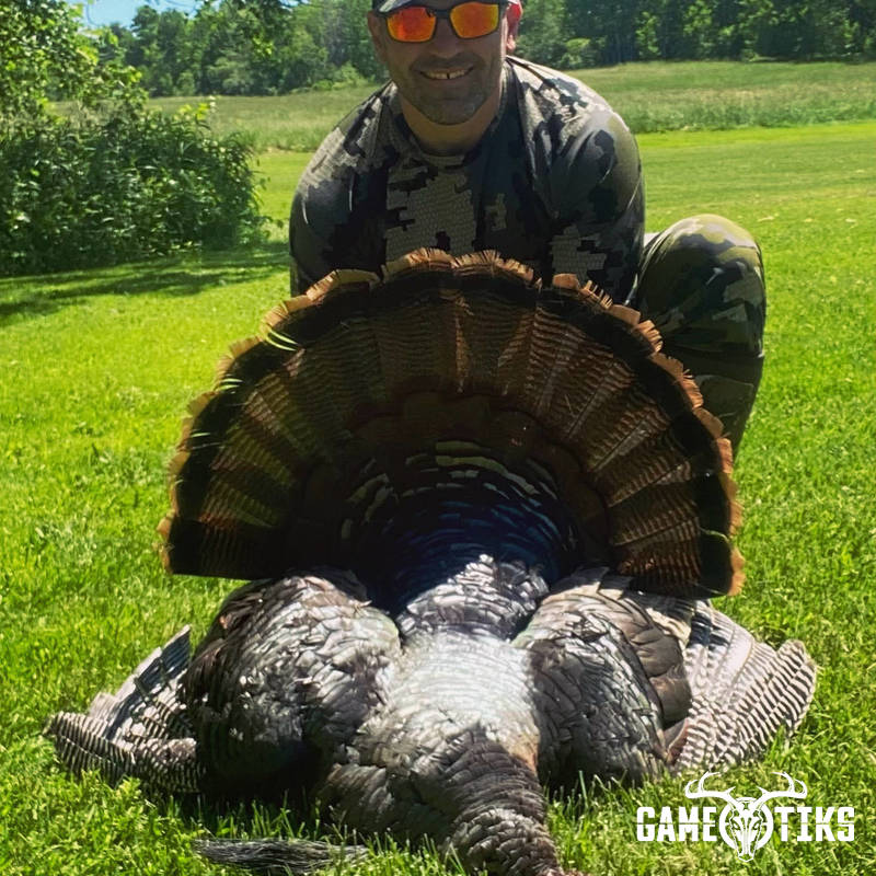 turkey harvest by Maine Experience Guide Service