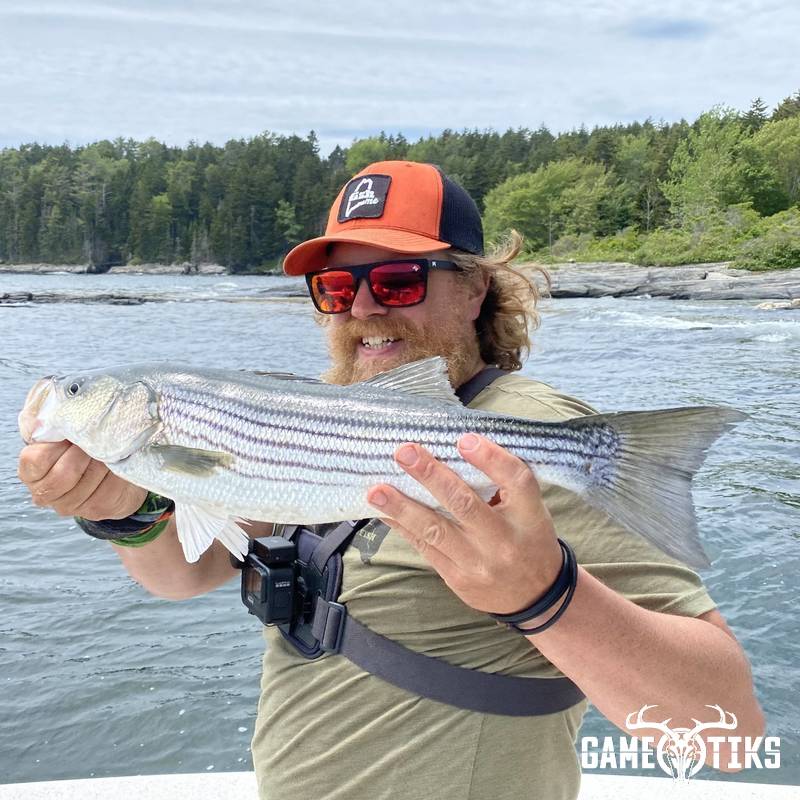 fish harvest by Marsh River Outfitters