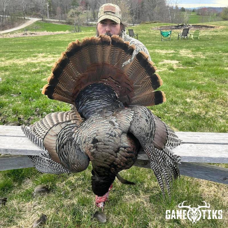 turkey harvest by Operation ReBoot Outdoors
