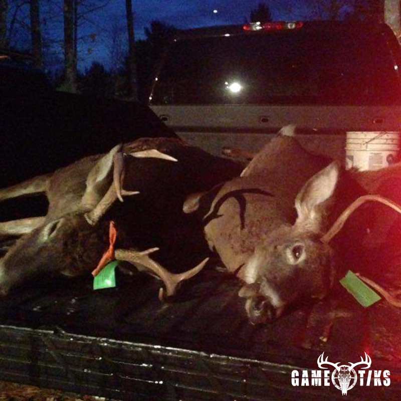 deer harvest by Deven Pendexter