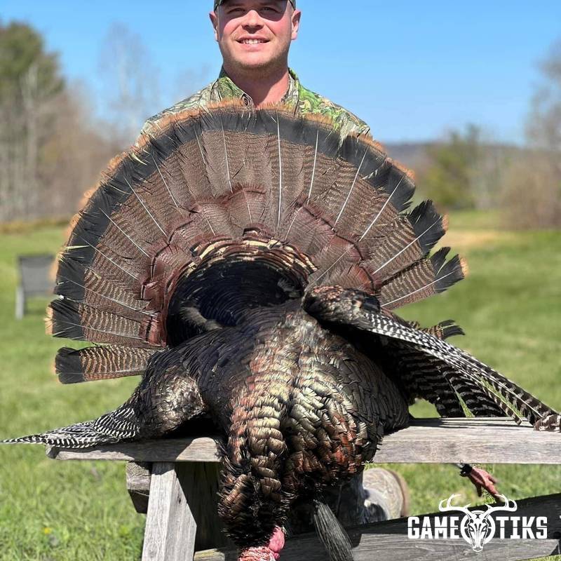turkey harvest by Operation ReBoot Outdoors