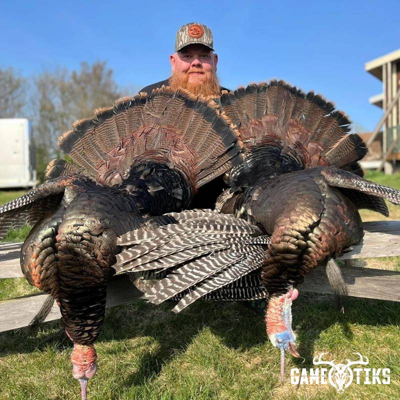 turkey harvest by Operation ReBoot Outdoors