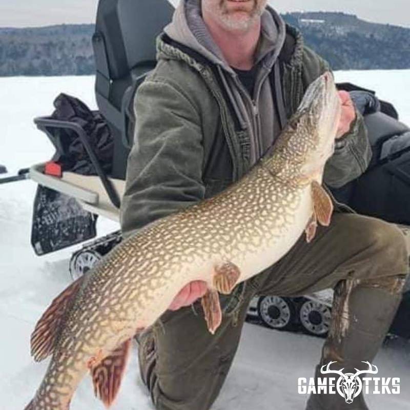 fish harvest by Operation ReBoot Outdoors