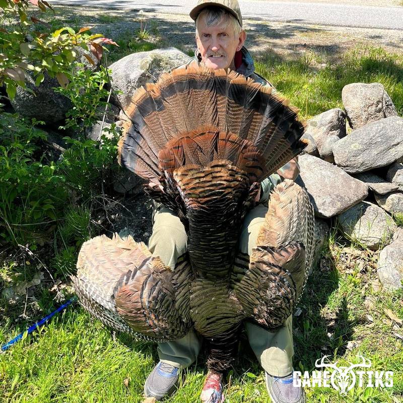 turkey harvest by Operation ReBoot Outdoors