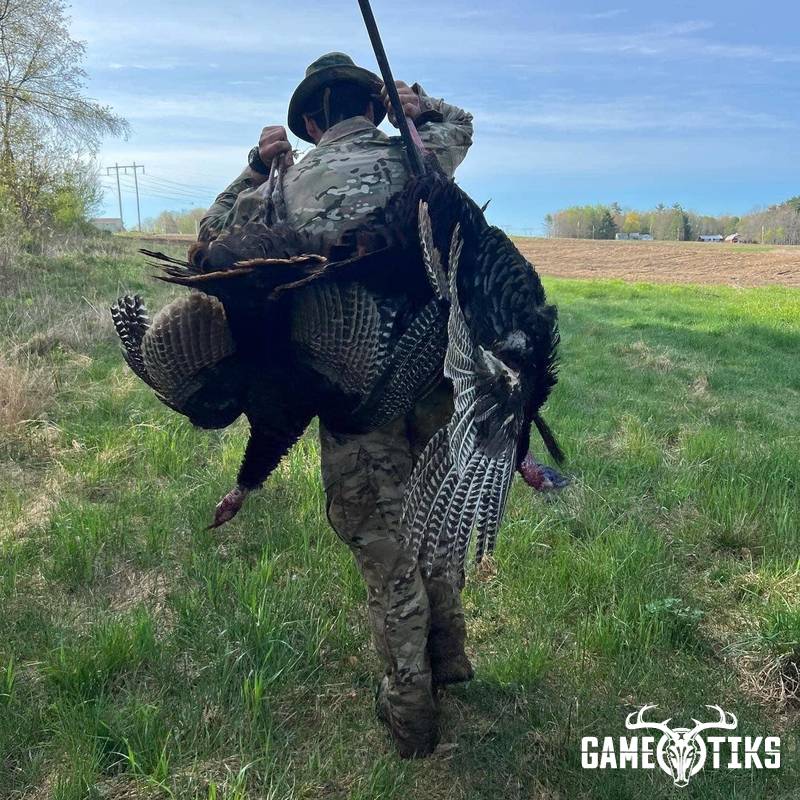 turkey harvest by Operation ReBoot Outdoors