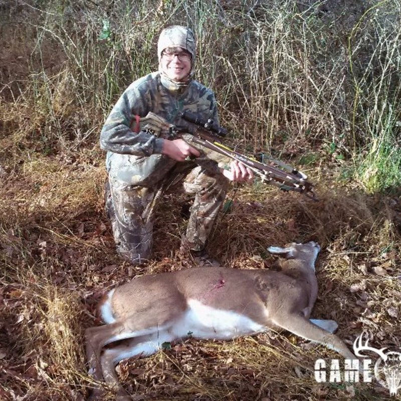 deer harvest by Cole Tiemann