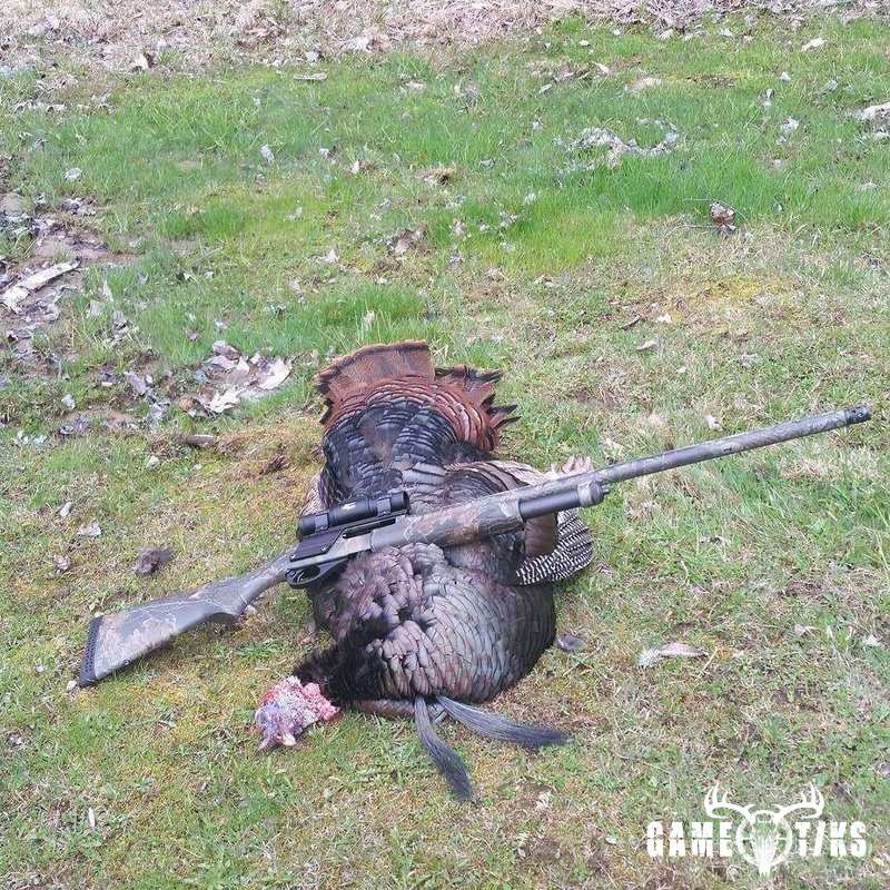 turkey harvest by Dustin Howes