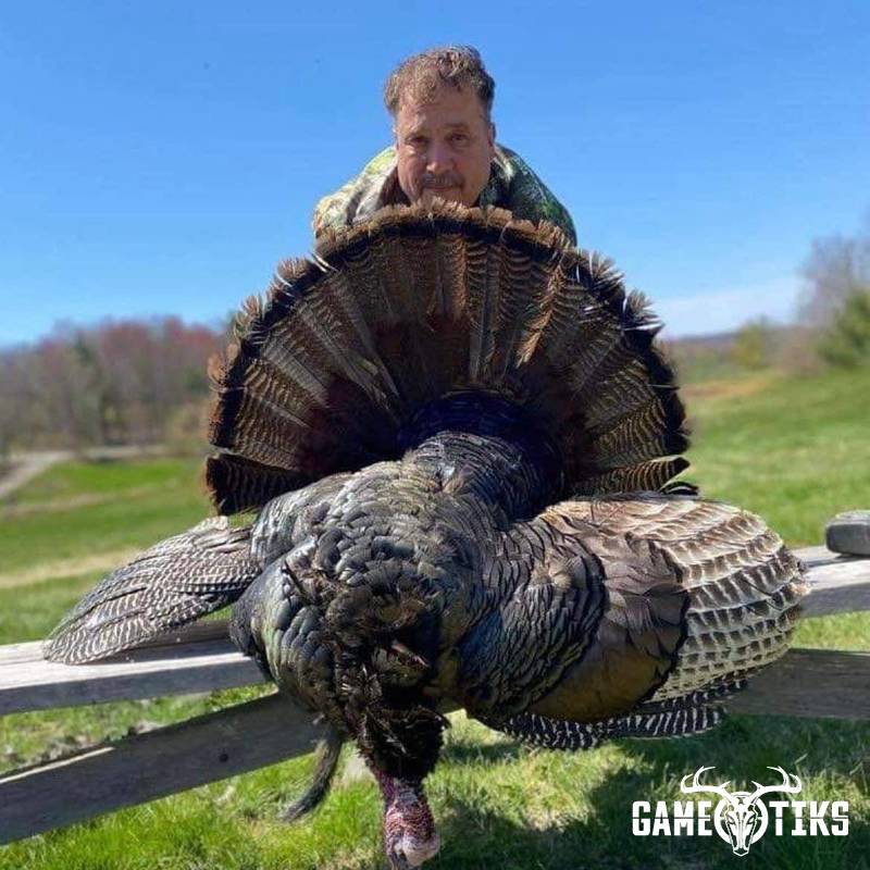 turkey harvest by Operation ReBoot Outdoors