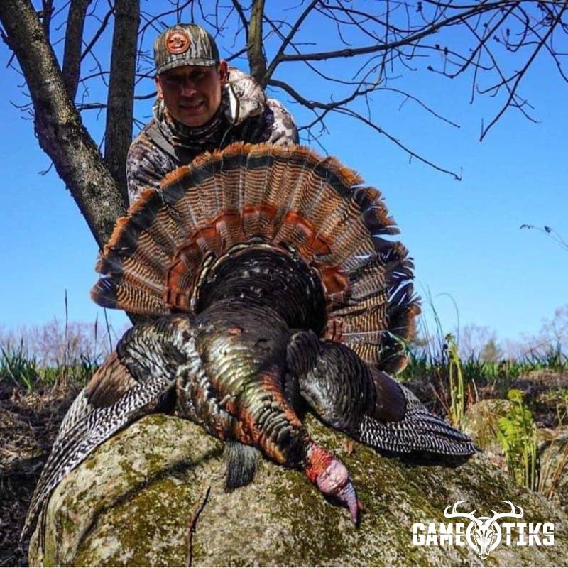 turkey harvest by Operation ReBoot Outdoors