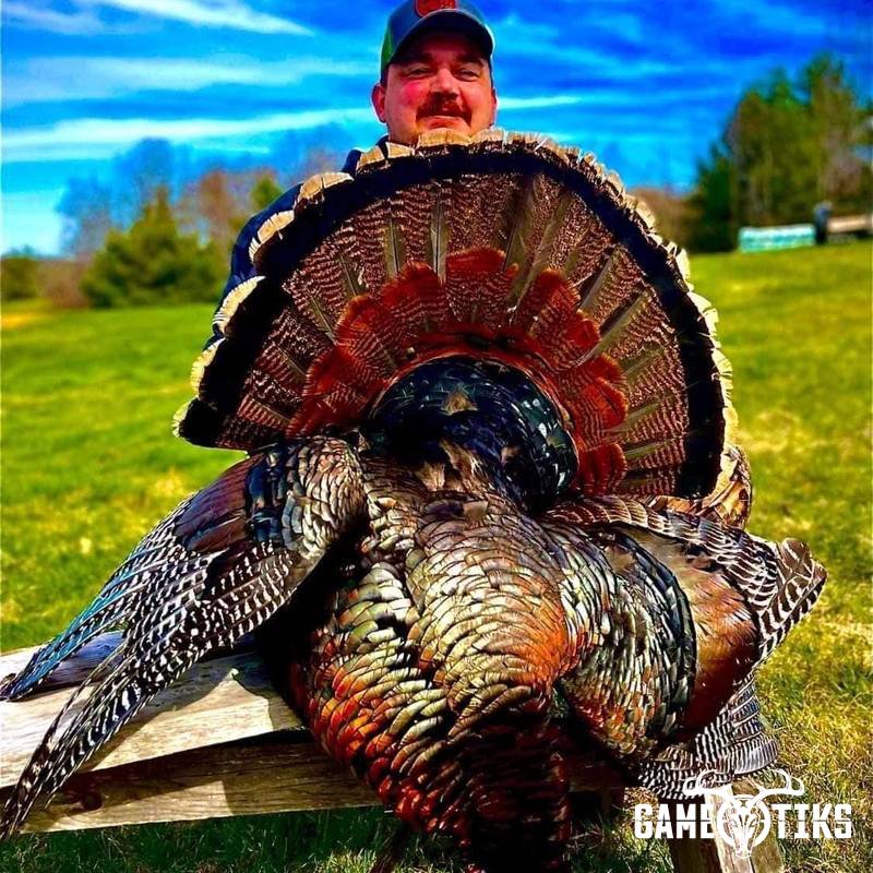 turkey harvest by Operation ReBoot Outdoors