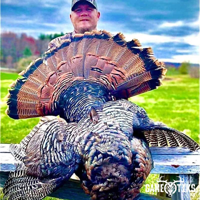 turkey harvest by Operation ReBoot Outdoors