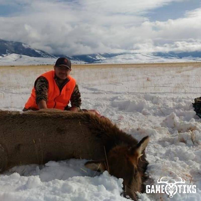 elk harvest by Justin Brewer