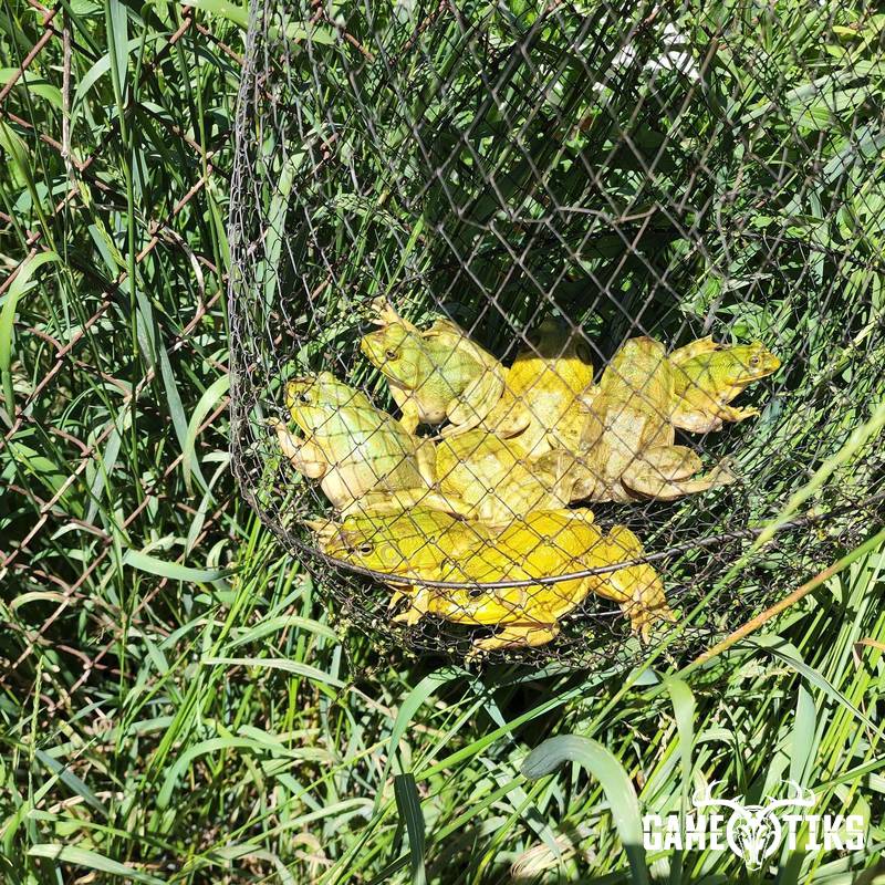 miscellaneous harvest by Luke W. Zebrowski