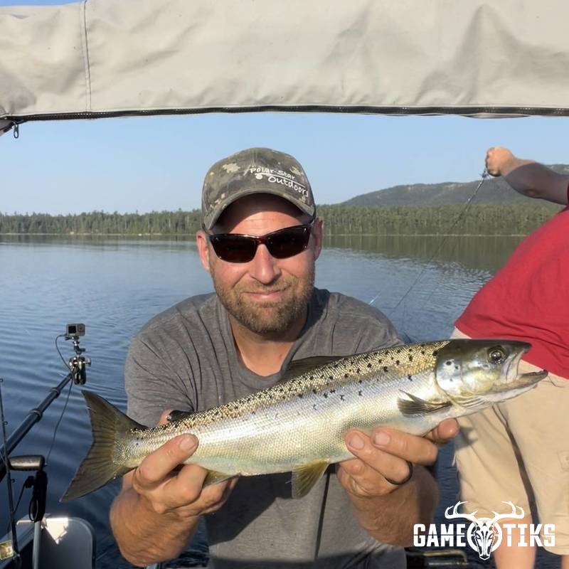fish harvest by Matt Laite