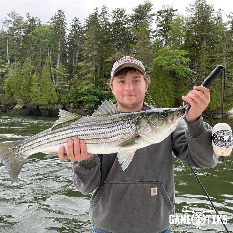 fish harvest by Maine Experience Guide Service