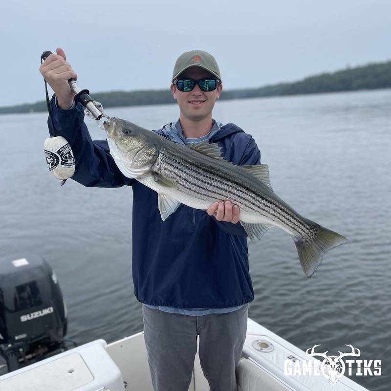 fish harvest by Maine Experience Guide Service