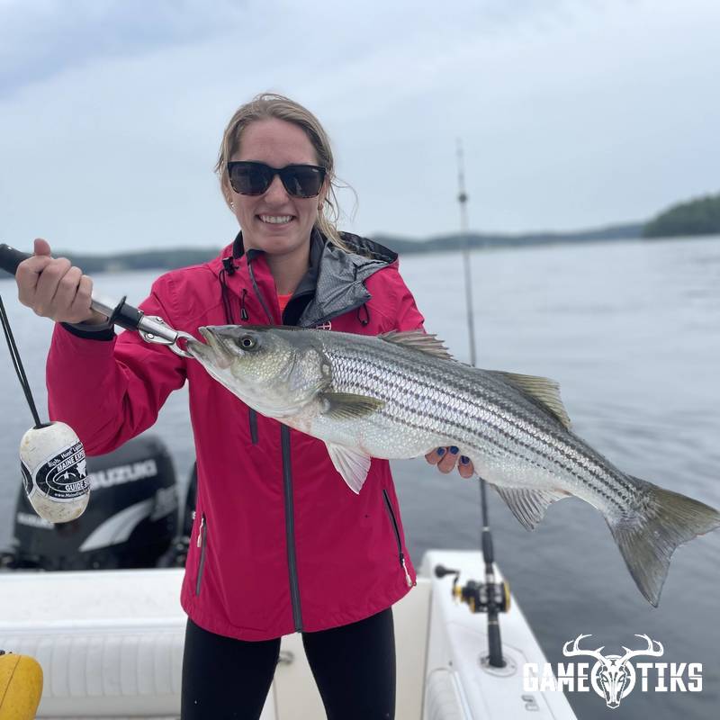 fish harvest by Maine Experience Guide Service