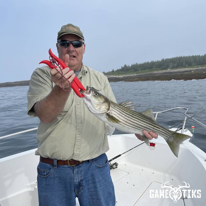 fish harvest by Maine Experience Guide Service