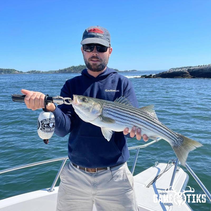 fish harvest by Maine Experience Guide Service
