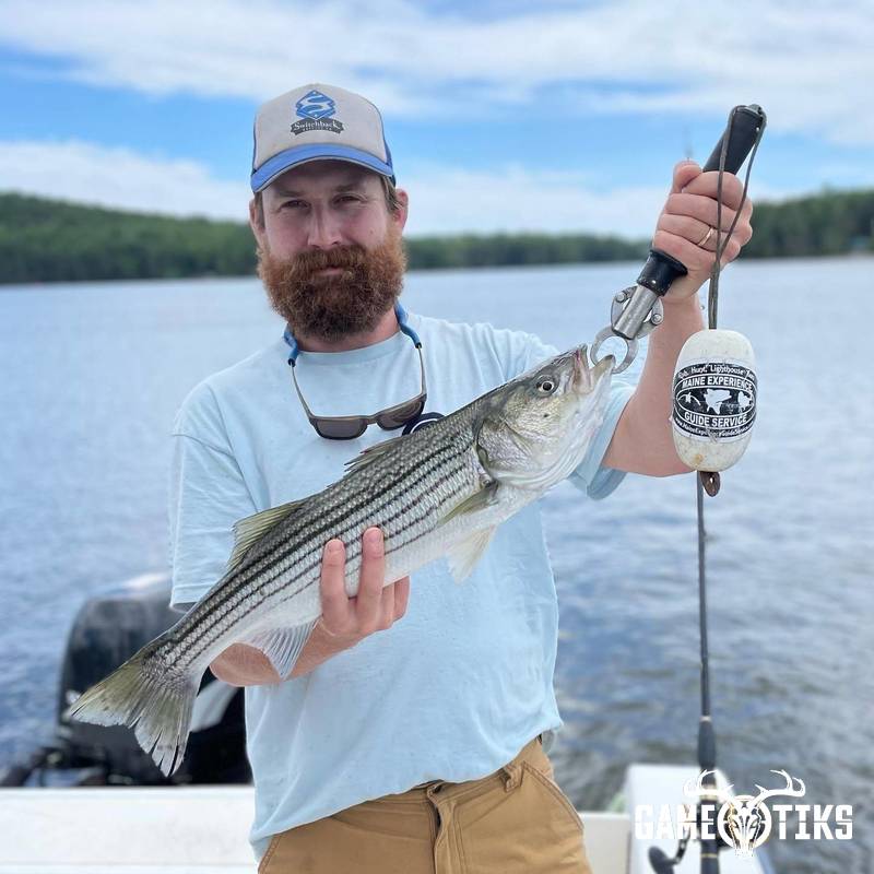 fish harvest by Maine Experience Guide Service