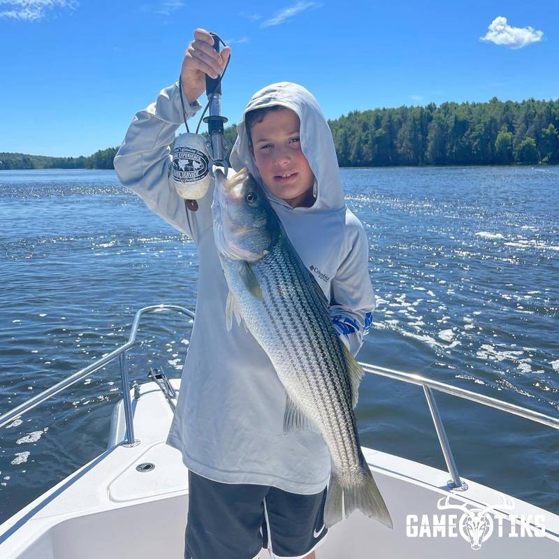 fish harvest by Maine Experience Guide Service
