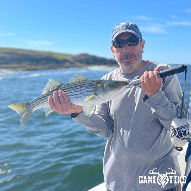 fish harvest by Maine Experience Guide Service