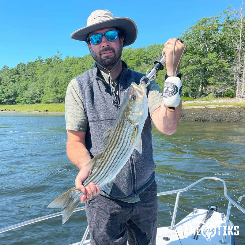 fish harvest by Maine Experience Guide Service