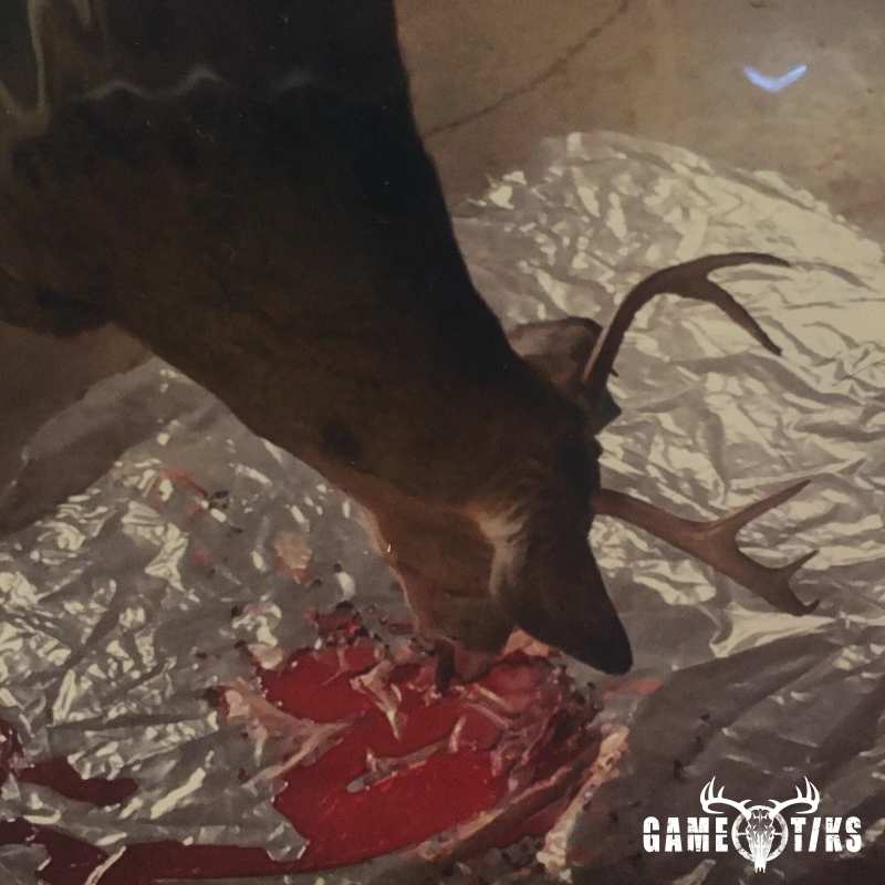 deer harvest by Dustin Howes
