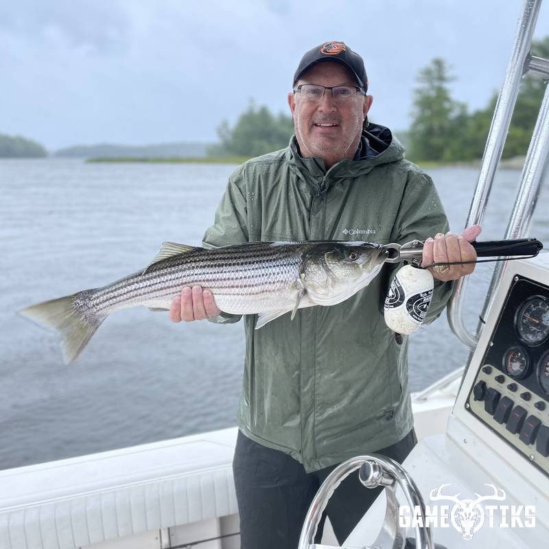 fish harvest by Maine Experience Guide Service