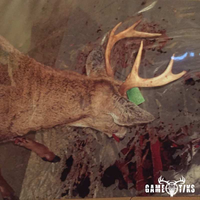 deer harvest by Dustin Howes