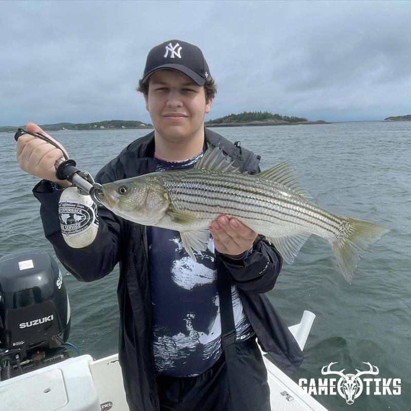 fish harvest by Maine Experience Guide Service