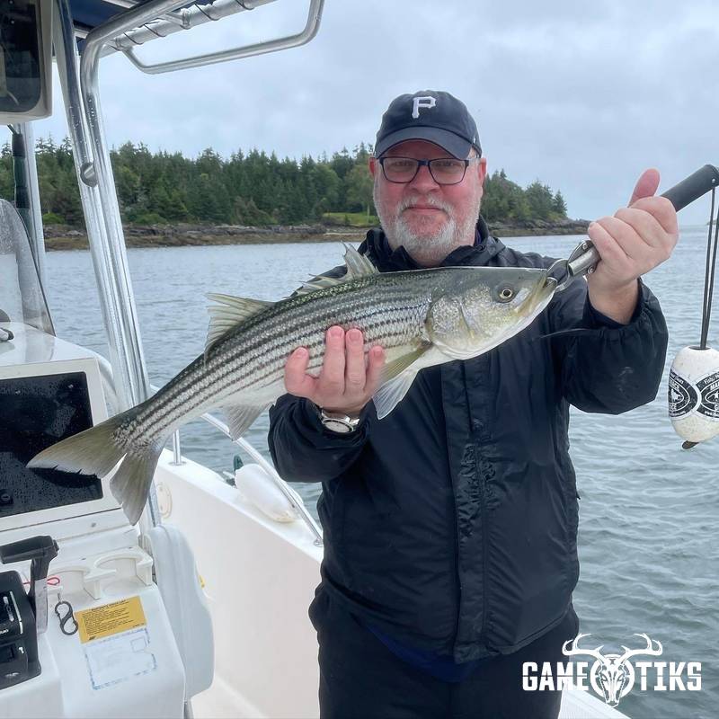 fish harvest by Maine Experience Guide Service
